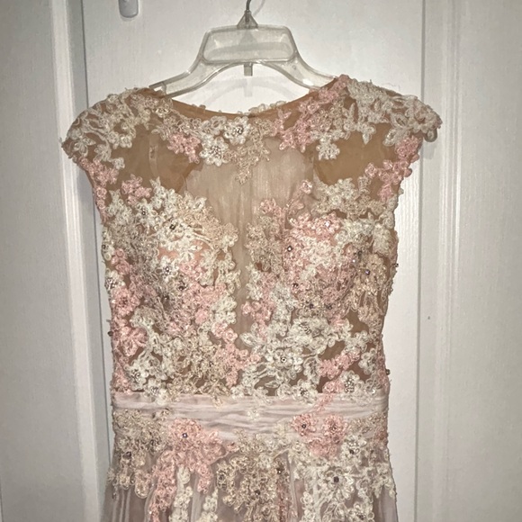 Elegant Pink and White Lace Gown - Picture 2 of 11